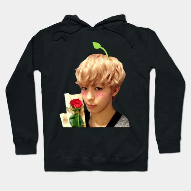 Cute sprout Hongbin | VIXX Hoodie by ichigobunny